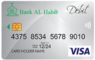 Silver Debit Card